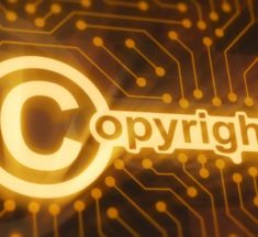 AI Survey Reveals Concerns Over Bias, Copyright Issues, and Data Privacy