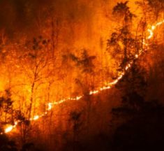 Wildfire Prevention Delivered with IoT Powered Solution from Viasat and Insign Solutions