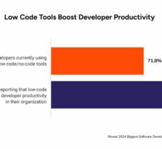 Low-Code Software Provides Productivity Boost Survey Revealed