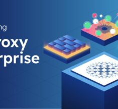 HAProxy Enterprise 2.9 Raises the Security Bar in Application Delivery