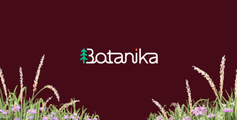 Botanika Secures $1.5M to Kickstart Decentralized Data Storage Strategy