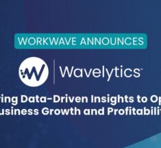 Wavelytics Launched for Data-Driven Business Growth