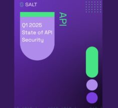 Salt Labs State of API Security Report Reveals the Latest Challenges