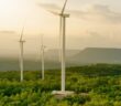 TruScale DaaS for Sustainability