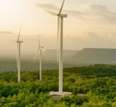 Lenovo Launches Modular TruScale DaaS for Sustainability