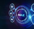 crypto agility