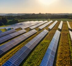 Meta Backs 100 MW Solar Project in Orangeburg County