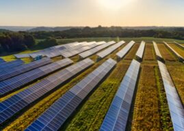 Meta Backs 100 MW Solar Project in Orangeburg County
