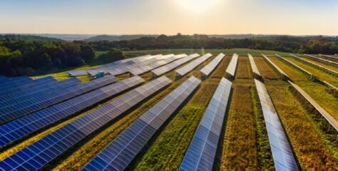 Meta Backs 100 MW Solar Project in Orangeburg County