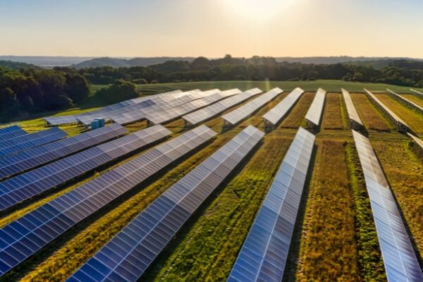 Meta Backs 100 MW Solar Project in Orangeburg County