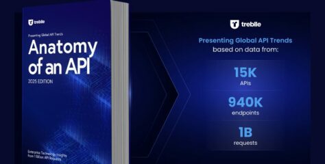 Treblle Anatomy of an API 2025 Edition Released