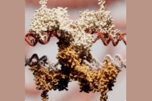 Basecamp Research Debuts World-First AI Programmable Gene Insertion