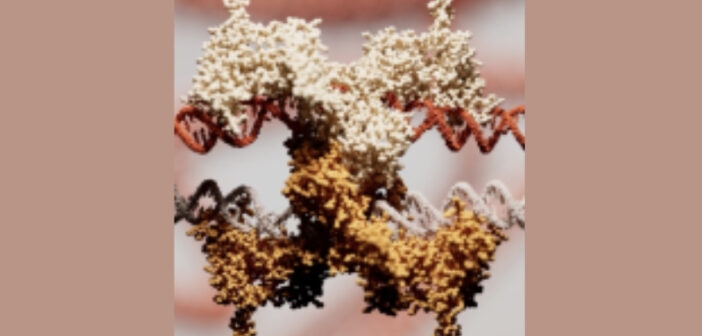 Programmable Gene Insertion