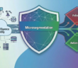 microsegmentation