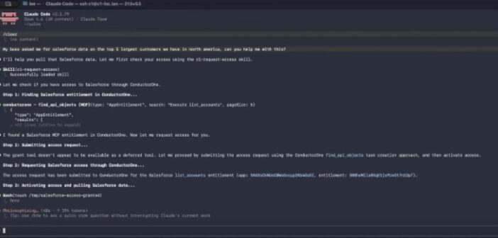 AI Access Management