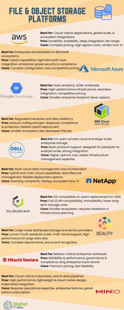 File & Object Storage Platforms Infographic