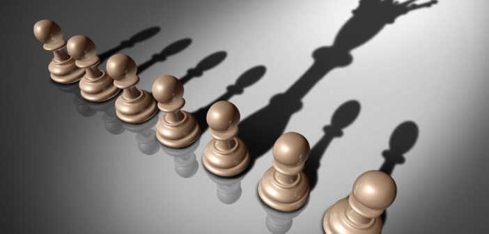 New Leaders