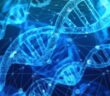 DNA Storage