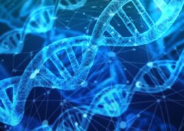 Scality and Biomemory Advance DNA Storage Archives