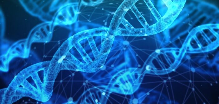 DNA Storage