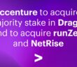runZero and NetRise