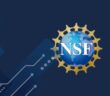 NSF