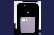 AI Verification