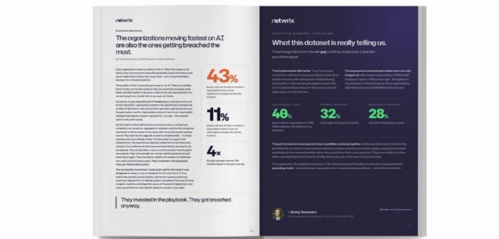 Netwrix Report